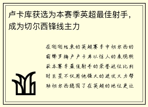 卢卡库获选为本赛季英超最佳射手，成为切尔西锋线主力